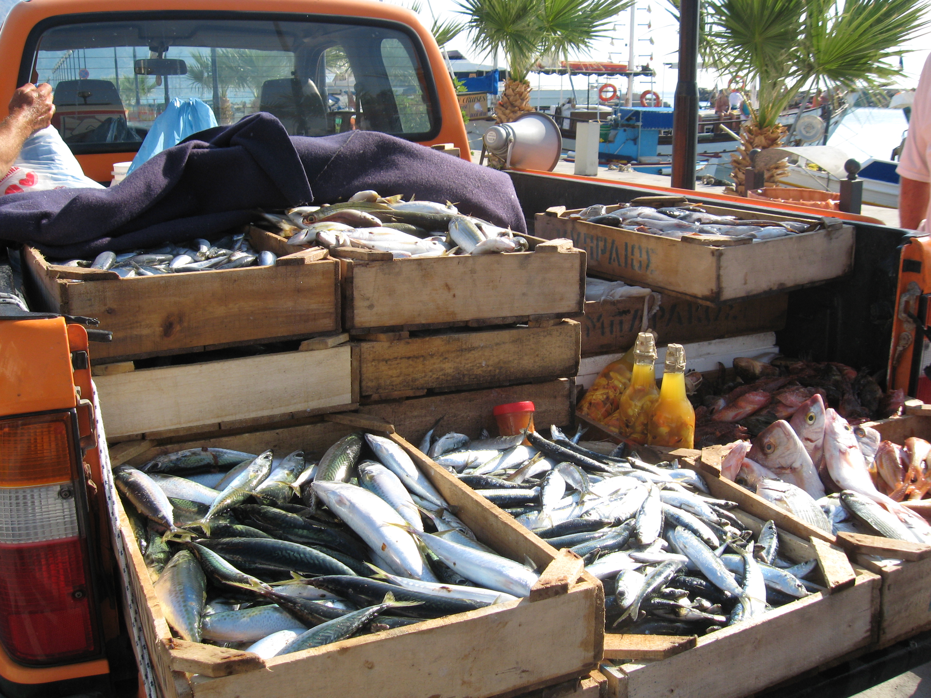 Fresh fish :)