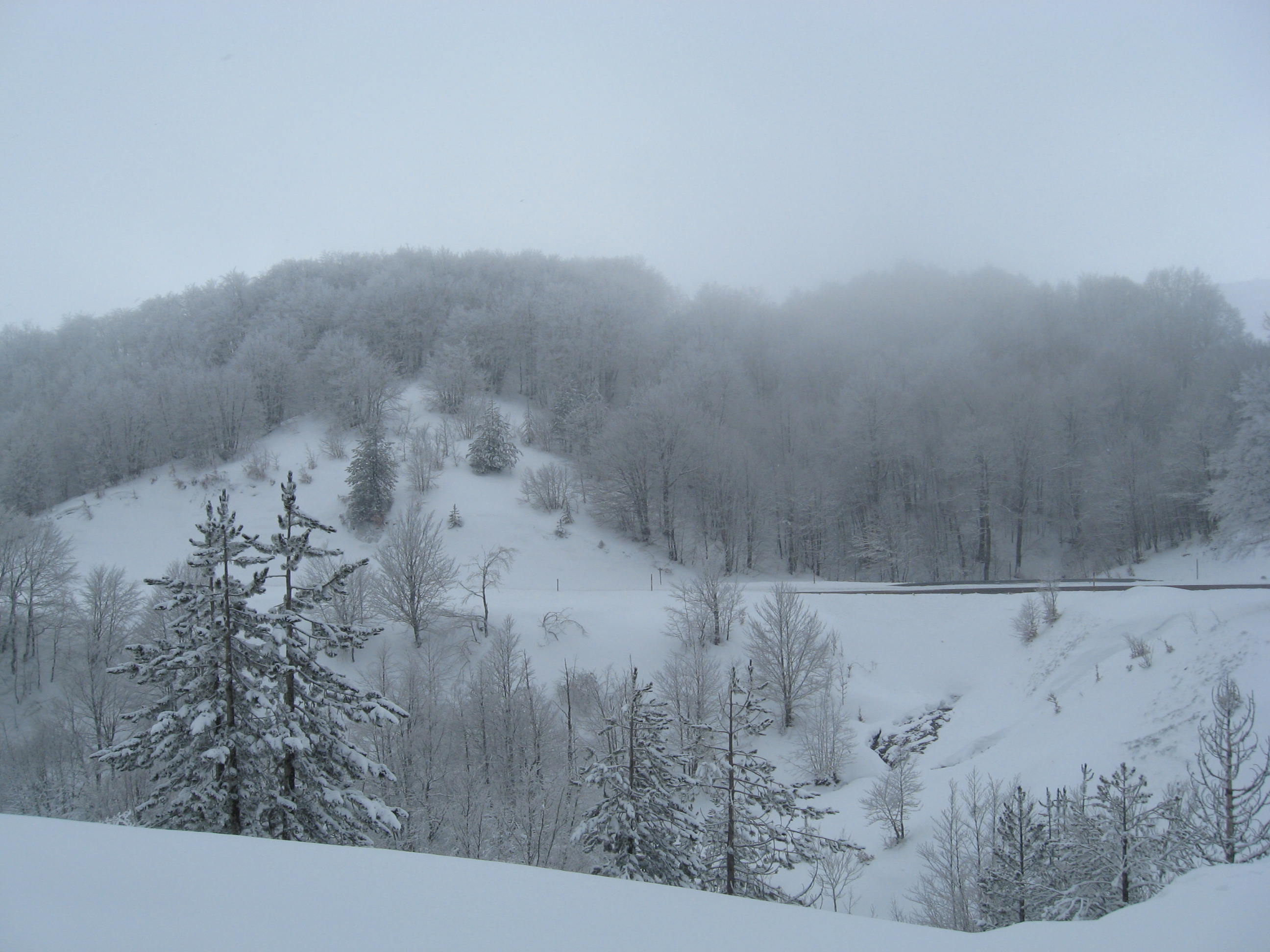 Snow in Metsovo