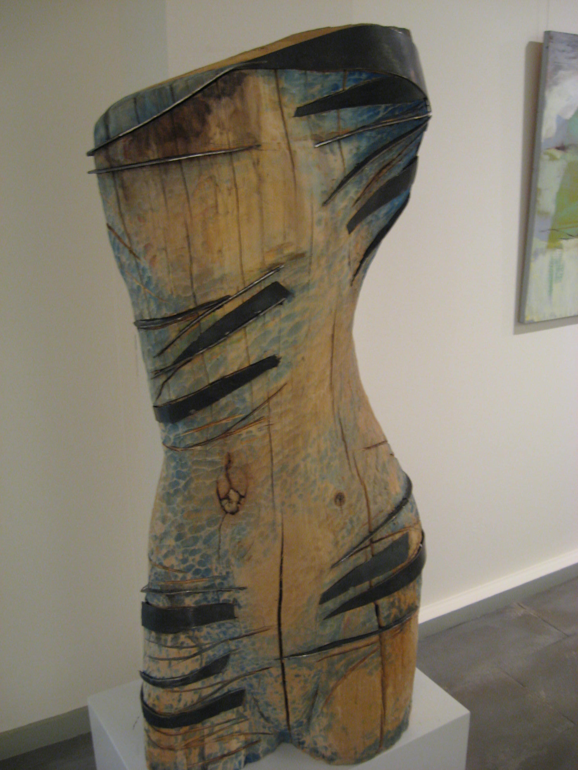 Torso