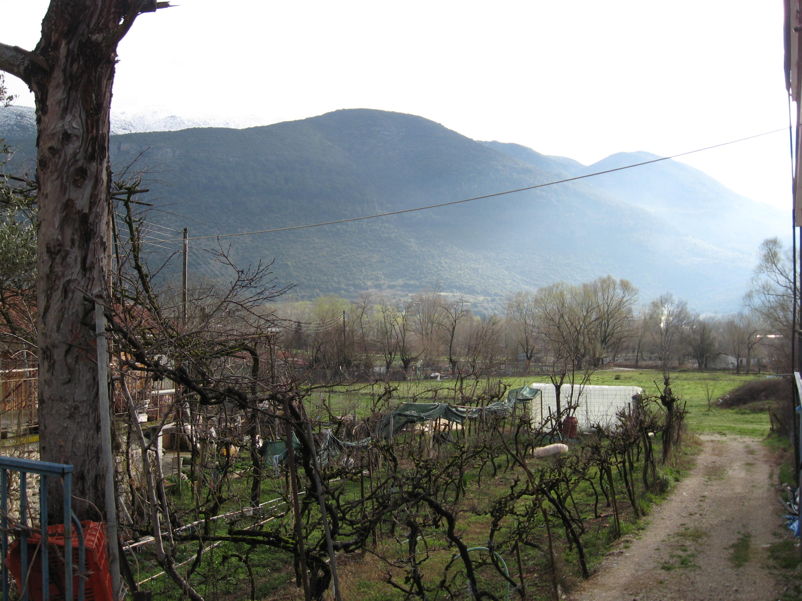 Bright morning in Perama
