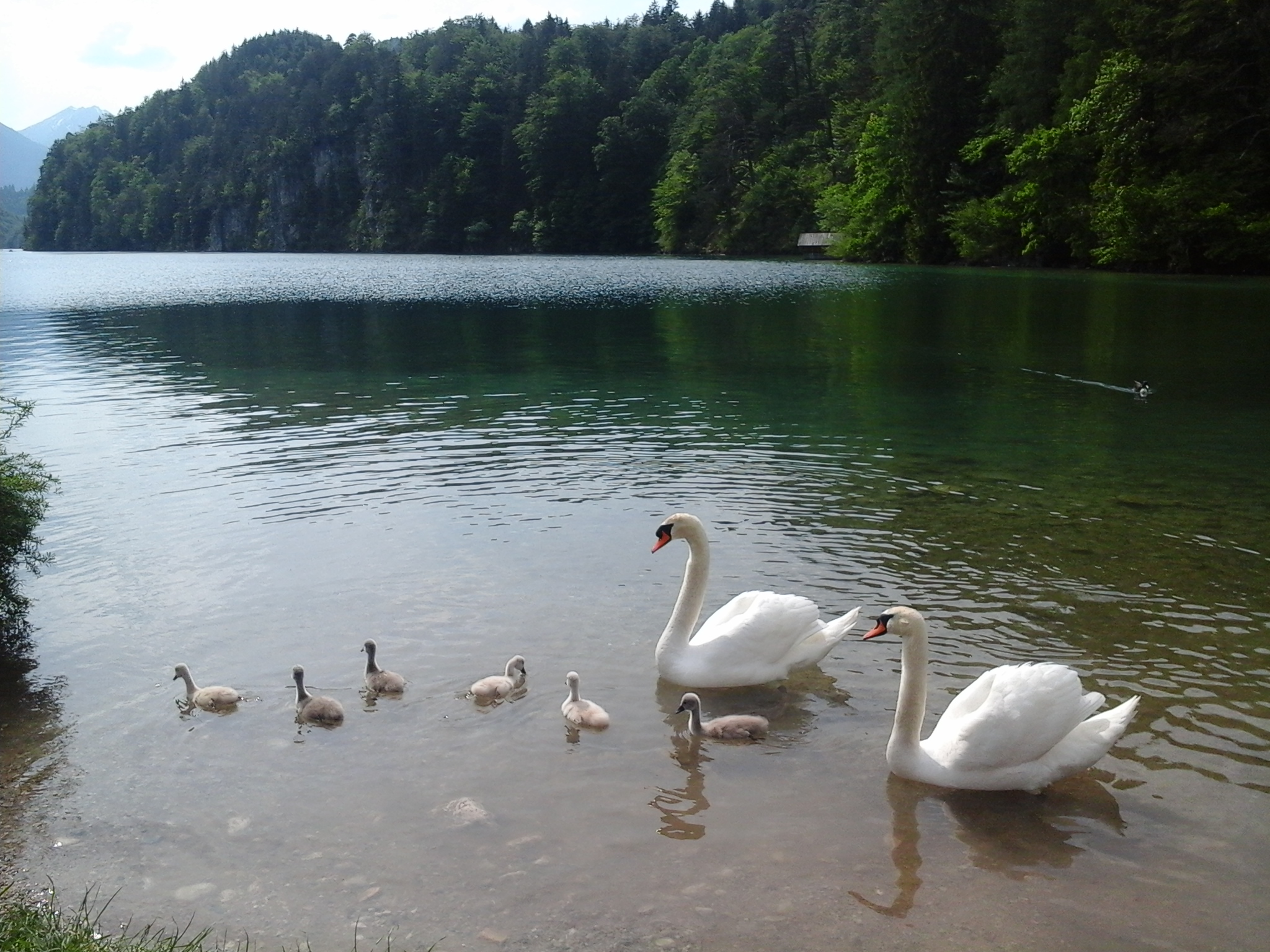 20160527_150621
