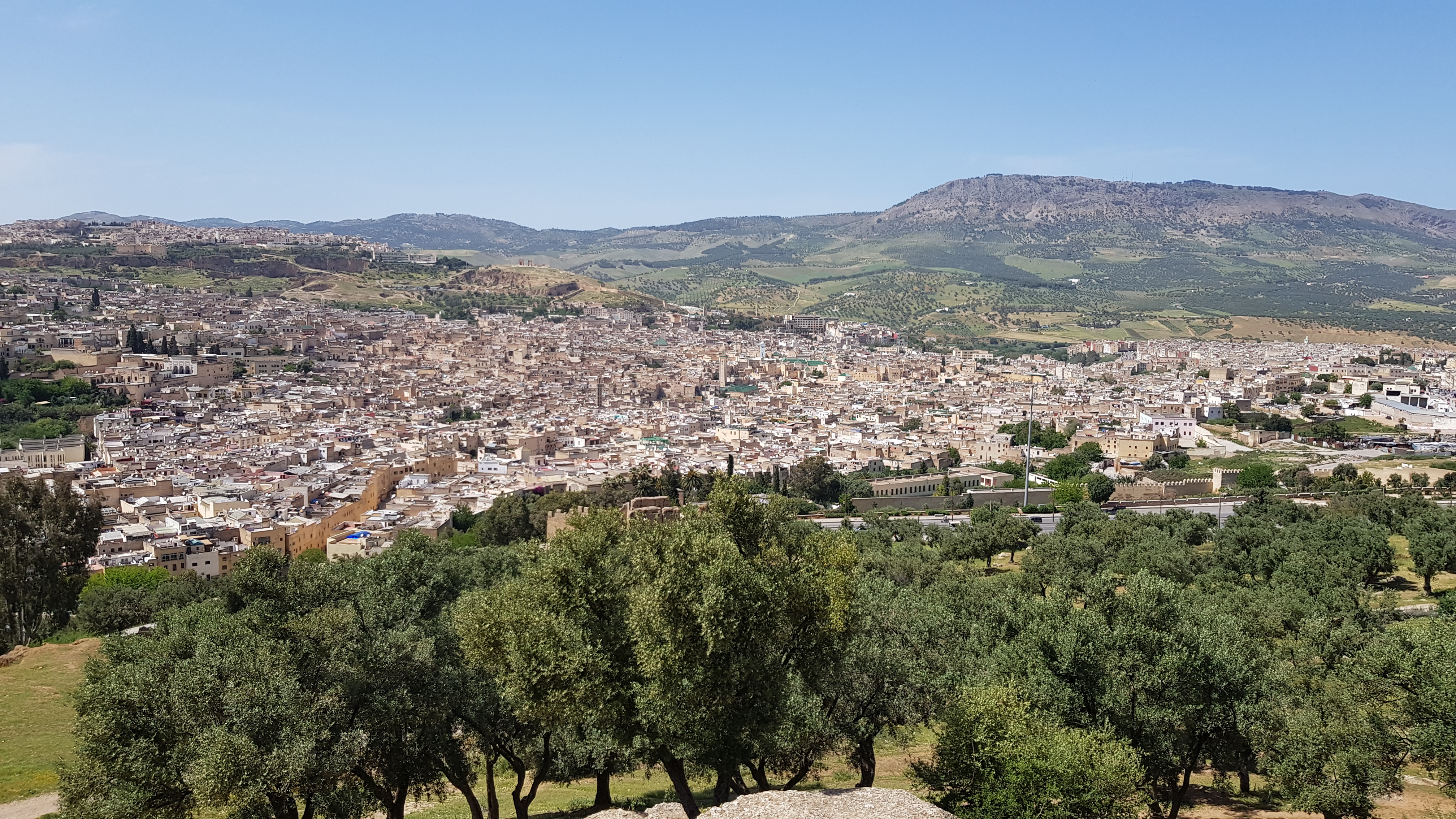 20190429_153202